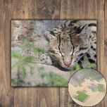 Napping Ocelot Puzzle<br><div class="desc">Ein Ocelot-Nickerchen hinter den Büschen an einem coolen März Morgen. Spots und Streifen bedecken sein weiches, bräunliches Fell und bieten Tarnung im gedämpften Sonnenlicht. Seine Ohren sind aufmerksam und suchen nach Geräuschen, die potenzielle Beute oder eine Bedrohung signalisieren könnten. Seine Augen sind auf etwas in der Ferne fixiert. Das grüne,...</div>