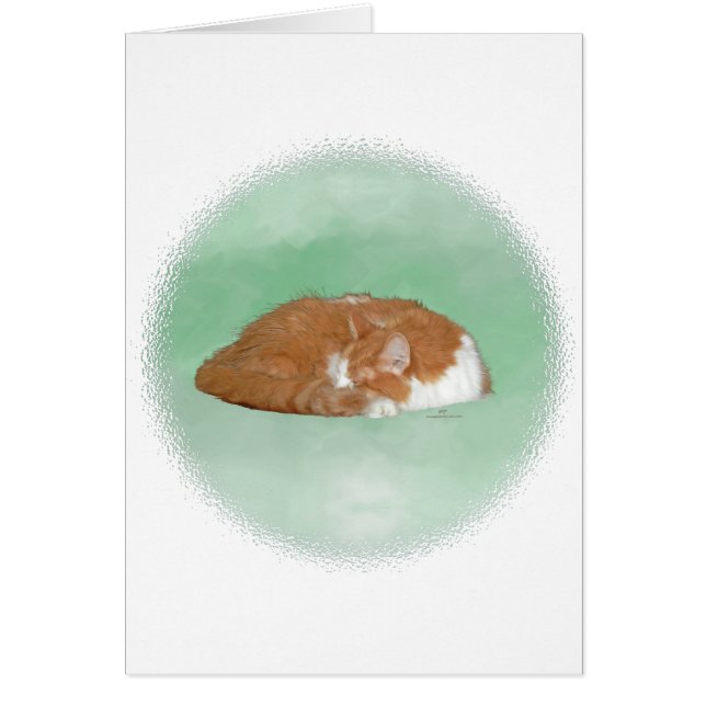 Napping Orange Kitty (Vorne)
