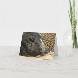 Napping Pot-Bellied Pig Card Karte