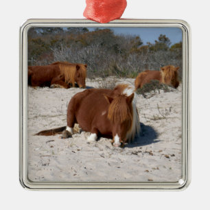 Napping Wild Ponies im Nationalpark Assateague Ornament Aus Metall