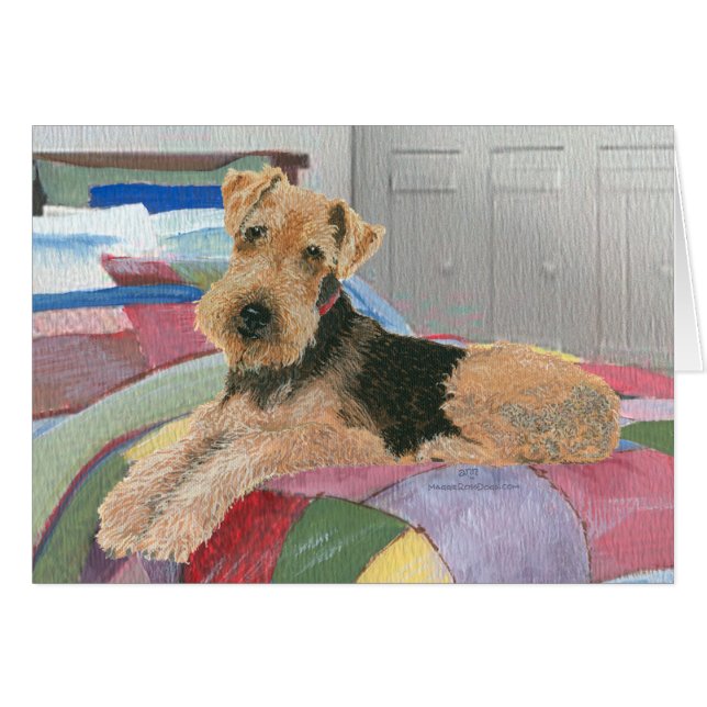 Naptime (Vorderseite (Horizontal))