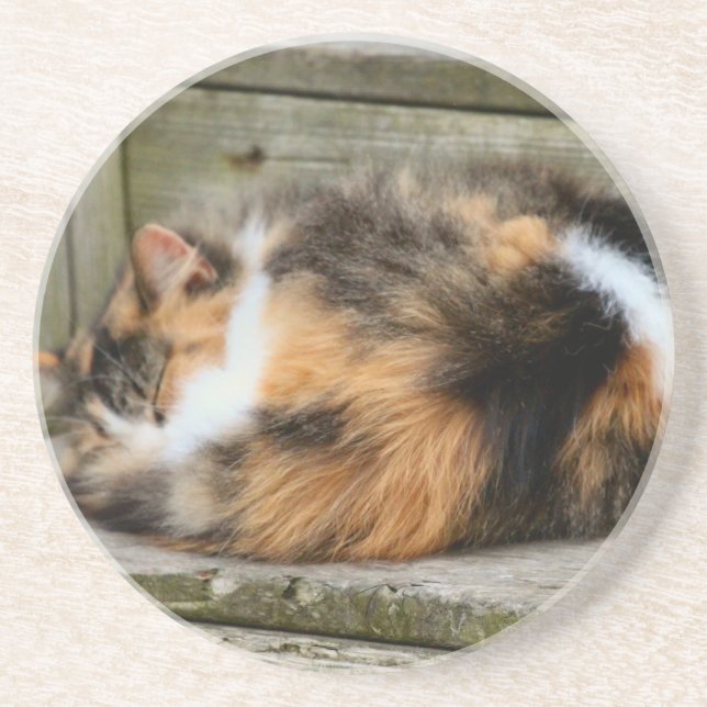 Naptime Getränkeuntersetzer (Vorne)