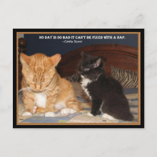Naptime! Postkarte