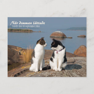 När dimman lättade CC0547 Sideby Postcard Postkarte