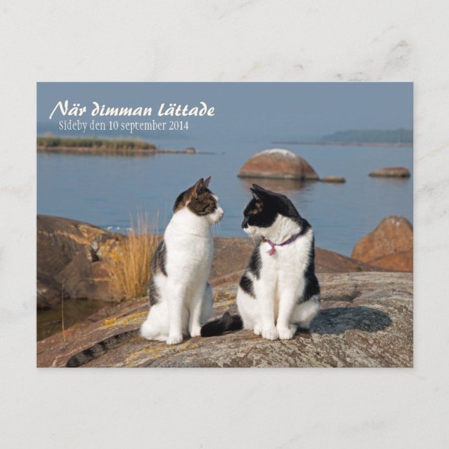 När dimman lättade CC0547 Sideby Postcard Postkarte (Vorderseite)