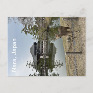 Nara, Japan, Postkarte