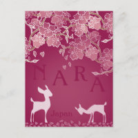 Nara Japan Sakura Deer Illustriert