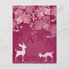 Nara Japan Sakura Deer Illustriert Postkarte