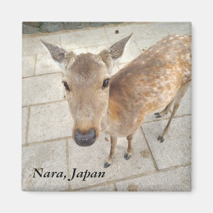 Nara Japan Souvenir Foto Magnet