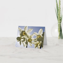 Narcissen die bloeien met een lente blauwe lucht dankeskarte