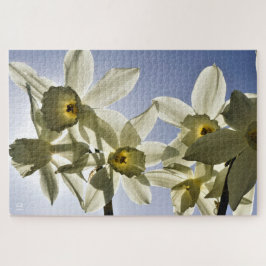 Narcissen die bloeien met een lente blauwe lucht puzzle