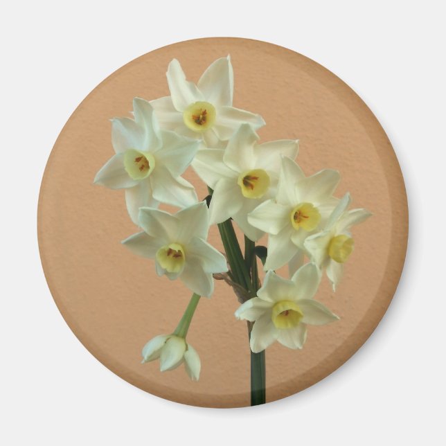 Narcissus Magnet (Vorne)