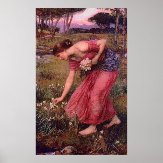 Narcissus Picking Blume Poster (Vorne)