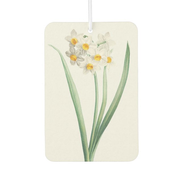 Narcissus, Pierre-Joseph Redouté, 1805 Autolufterfrischer (Vorderseite)