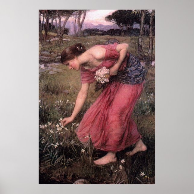 Narcissus von John William Waterhouse - 1912 Poster (Vorne)