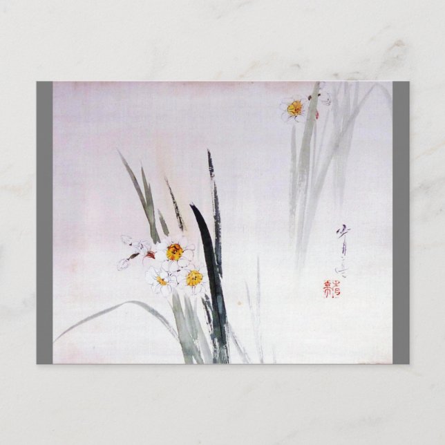 Narcissus, Watanabe Seitei Postkarte (Vorderseite)