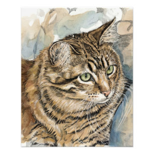 Nari - Eine Studie meiner Katze Fotodruck