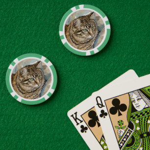 Nari - Eine Studie meiner Katze Pokerchips