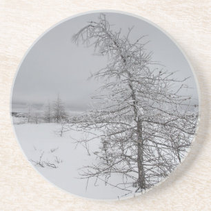 Narnia Getränkeuntersetzer