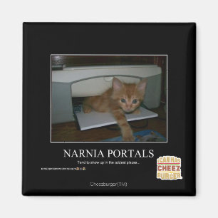 Narnia Portale Magnet