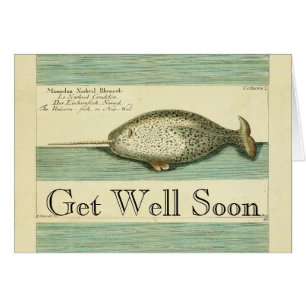 Narwhal Antique Whale Aquarellmalerei