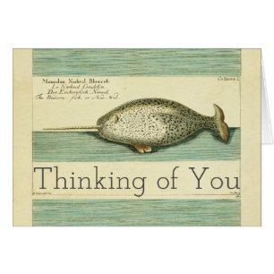 Narwhal Antique Whale Aquarellmalerei