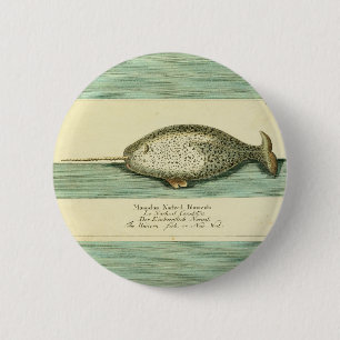 Narwhal Antique Whale Aquarellmalerei Button