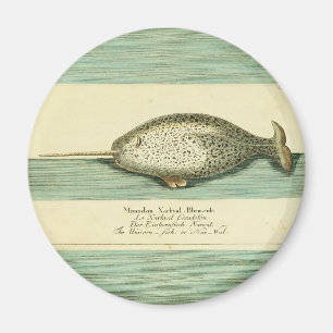 Narwhal Antique Whale Aquarellmalerei Magnet