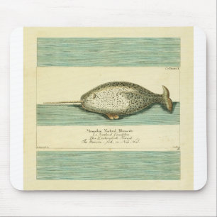 Narwhal Antique Whale Aquarellmalerei Mousepad