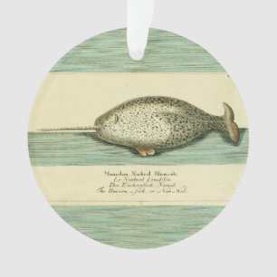 Narwhal Antique Whale Aquarellmalerei Ornament