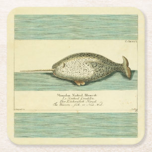 Narwhal Antique Whale Aquarellmalerei Rechteckiger Pappuntersetzer
