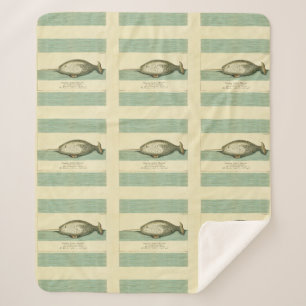 Narwhal Antique Whale Aquarellmalerei Sherpadecke