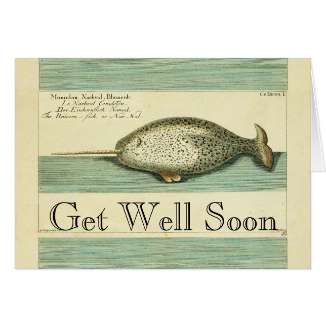 Narwhal Antique Whale Watercolor Wissenschaftliche (Vorderseite (Horizontal))