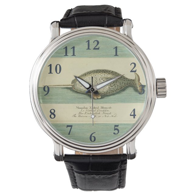 Narwhal Antique Whale Watercolor Wissenschaftliche Armbanduhr (Vorderseite)