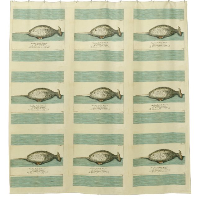 Narwhal Antique Whale Watercolor Wissenschaftliche Duschvorhang (Vorderseite)