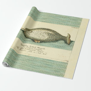 Narwhal Antique Whale Watercolor Wissenschaftliche Geschenkpapier