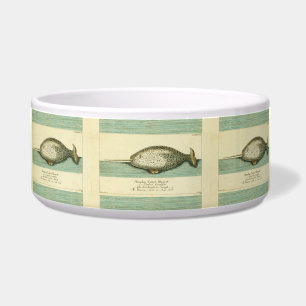 Narwhal Antique Whale Watercolor Wissenschaftliche Napf