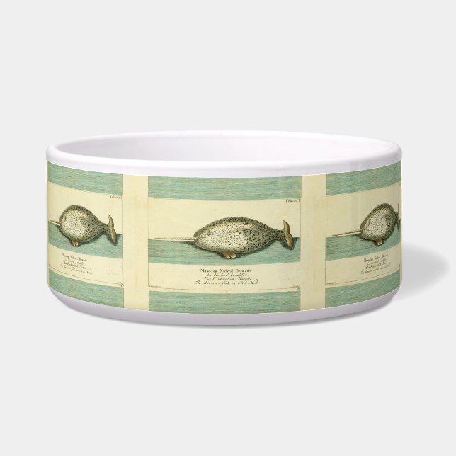 Narwhal Antique Whale Watercolor Wissenschaftliche Napf (Vorderseite)