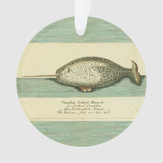 Narwhal Antique Whale Watercolor Wissenschaftliche Ornament (Vorderseite)