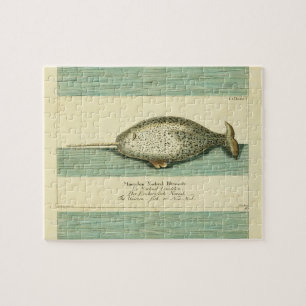 Narwhal Antique Whale Watercolor Wissenschaftliche Puzzle