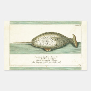 Narwhal Antique Whale Watercolor Wissenschaftliche Rechteckiger Aufkleber