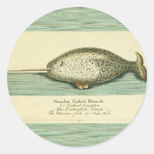 Narwhal Antique Whale Watercolor Wissenschaftliche Runder Aufkleber