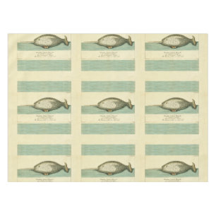 Narwhal Antique Whale Watercolor Wissenschaftliche Tischdecke