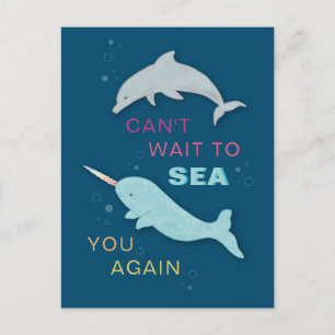 Narwhal Dolphin Friends Postkarte