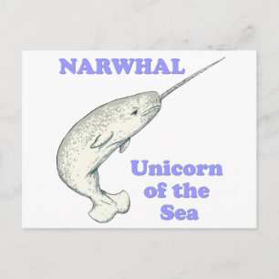 Narwhal Einhorn des Meeres Postkarte