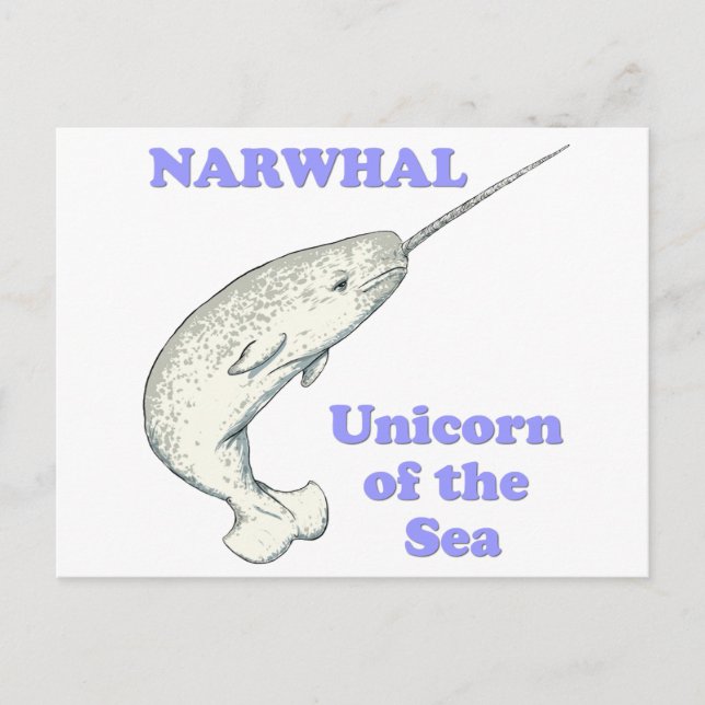 Narwhal Einhorn des Meeres Postkarte (Vorderseite)