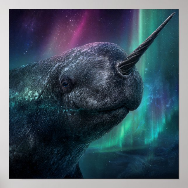 Narwhal Mystical Guardian - Aurora Arktische Nacht Poster (Vorne)