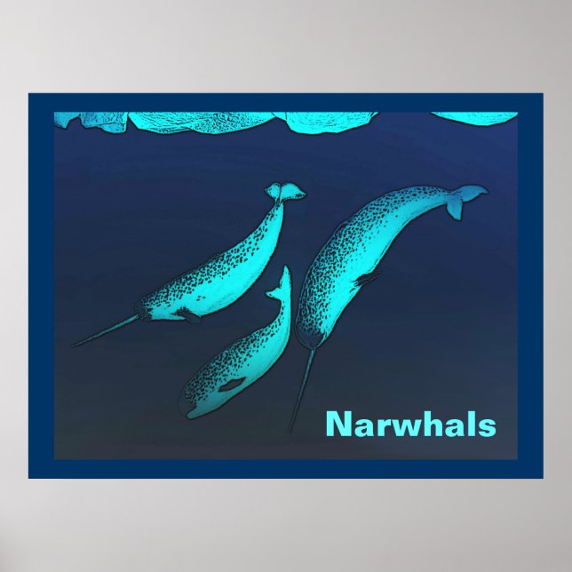 Narwhal Poster (Vorne)