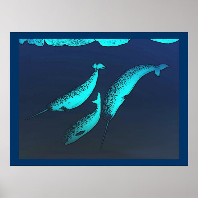 Narwhal Poster (Vorne)