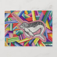 Narwhal